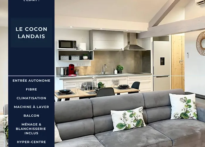 Le Cocon Landais - Clim - Balcon - Central - Spacieux - Lumineux